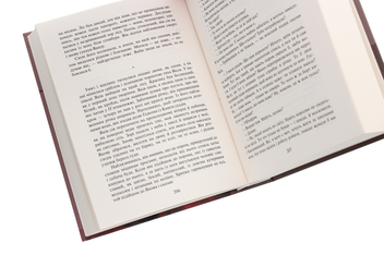 Паперова книга «Раб. Шоша», автор Ісаак Башевіс Зінгер - фото №5 - мініатюра