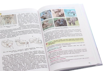 Паперова книга «Біологія. 7 клас», авторів Валентин Серебряков, Павел Балан, Надежда Матяш - фото №6 - мініатюра