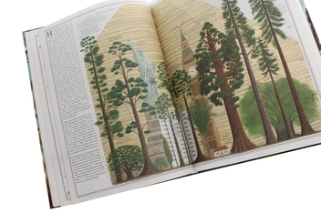Паперова книга «Дерева», авторів Войцех Грайковський, Пйотр Соха - фото №7 - мініатюра
