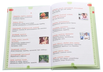 Паперова книга «Ілюстрований словник синонимів, антонимів. 1-4 класи», авторів Лідія Ткаченко, Ірина Купіна - фото №4 - мініатюра