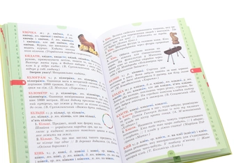 Бумажная книга «Ілюстрований словник-помічник з української мови. 1-4 класи» - фото №6 - миниатюра