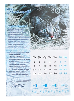 Бумажная книга «Календар на 2021. Коти-вояки. Обрані. Пророцтва зоряного клану» - фото №4 - миниатюра
