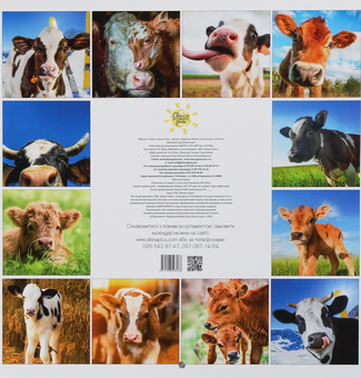 Бумажная книга «Календар на 2021. Свято кожен день. Кумедні бички. Funny bulls» - фото №2 - миниатюра