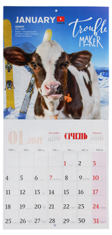 Бумажная книга «Календар на 2021. Свято кожен день. Кумедні бички. Funny bulls» - фото №3 - миниатюра
