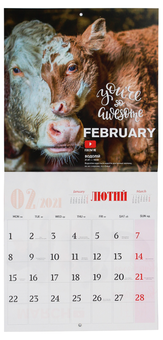 Бумажная книга «Календар на 2021. Свято кожен день. Кумедні бички. Funny bulls» - фото №4 - миниатюра