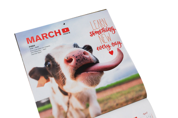 Бумажная книга «Календар на 2021. Свято кожен день. Кумедні бички. Funny bulls» - фото №5 - миниатюра