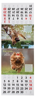 Паперова книга «Календар на 2021. Світовид. Породи собак» - фото №4 - мініатюра