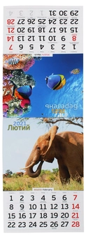 Паперова книга «Календар на 2021. Світовид. Дика природа» - фото №3 - мініатюра