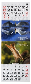 Паперова книга «Календар на 2021. Світовид. Дика природа» - фото №4 - мініатюра