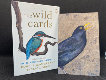 Паперова книга «The Wild Cards. A 100 Postcard Box Set», автор Роберт Макфарлейн - фото №6 - мініатюра