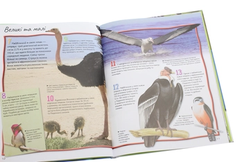 Бумажная книга «100 фактів (комплект із 4 книг)», авторов Джинни Джонсон, Стив Паркер, Камилла де ла Бедуайер - фото №18 - миниатюра