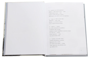 Паперова книга «каміньсадліс», автор Ірина Шувалова - фото №4 - мініатюра