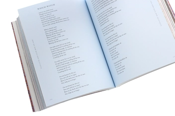 Бумажная книга «Useless Magic. Lyrics, Poetry and Sermons», автор Флоренс Уэлч - фото №6 - миниатюра