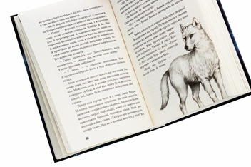 Бумажная книга «Діти лісу. Книга 2. Небезпечна дружба», автор Катя Брандис - фото №5 - миниатюра