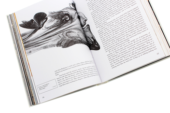 Бумажная книга «Dalí. The Wines of Gala», автор Ханс Вернер Хольцварт - фото №7 - миниатюра