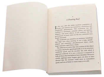 Паперова книга «Twenty Thousand Leagues Under the Sea», автор Жуль Верн - фото №4 - мініатюра