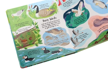 Паперова книга «Look Inside Nature», автор Мінна Лейсі - фото №7 - мініатюра