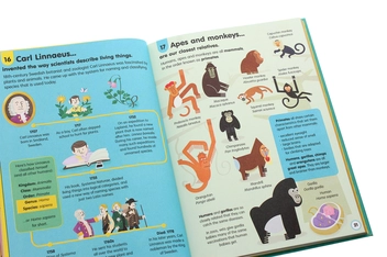 Бумажная книга «100 Things to Know About Science», авторов Минна Лейси, Алекс Фрит, Джонатан Мелмот, Джером Мартин - фото №5 - миниатюра