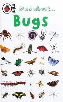 Бумажная книга «Mad About Bugs», автор Дебора Джейн Мюррелл - фото №1 - миниатюра