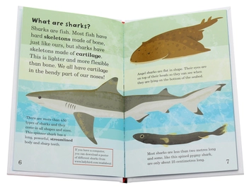 Паперова книга «Mad About Sharks», автор Дебора Джейн Мюррелл - фото №4 - мініатюра