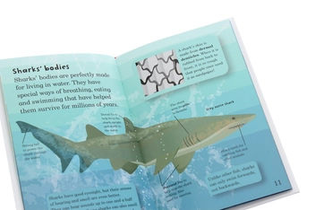 Паперова книга «Mad About Sharks», автор Дебора Джейн Мюррелл - фото №5 - мініатюра