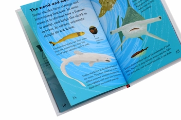 Паперова книга «Mad About Sharks», автор Дебора Джейн Мюррелл - фото №6 - мініатюра