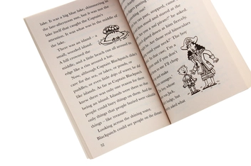 Бумажная книга «The Indoor Pirates On Treasure Island», автор Джереми Стронг - фото №6 - миниатюра