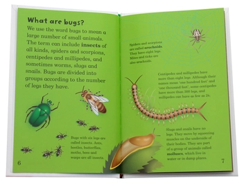 Бумажная книга «Mad About Bugs», автор Дебора Джейн Мюррелл - фото №4 - миниатюра