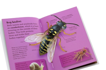Бумажная книга «Mad About Bugs», автор Дебора Джейн Мюррелл - фото №5 - миниатюра