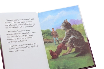 Бумажная книга «Ladybird Tales. Puss in Boots» - фото №5 - миниатюра