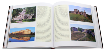 Бумажная книга «Епоха Вітовта в історії України. 1387-1430», авторов Борис Черкас, Генуте Киркене, Дмитрий Ващук, Альфредас Бумблаускас, Лорета Скурвидайте - фото №7 - миниатюра