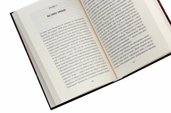 Паперова книга «Жінка в темряві. Зелений Клин», автор Максим Бутченко - фото №5 - мініатюра
