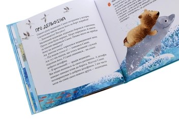Паперова книга «Дивовижні відкриття ведмедика Санні на морі», автор Наталія Чуб - фото №6 - мініатюра