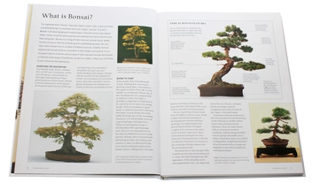 Паперова книга «The Complete Practical Book of Bonsai», автор Кен Норман - фото №4 - мініатюра