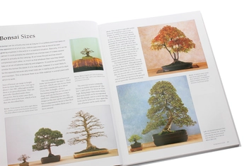 Паперова книга «The Complete Practical Book of Bonsai», автор Кен Норман - фото №6 - мініатюра