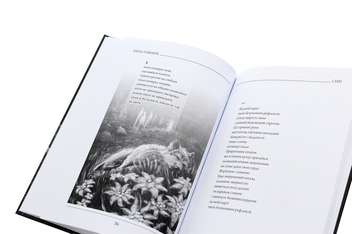 Бумажная книга «Сни», автор Ирэна Павлюк - фото №6 - миниатюра
