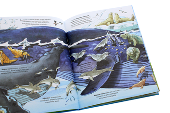 Бумажная книга «Велика книга морських мешканців», автор Минна Лейси - фото №5 - миниатюра