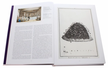 Бумажная книга «Redouté. The Book of Flowers», автор Х. Вальтер Лак - фото №5 - миниатюра