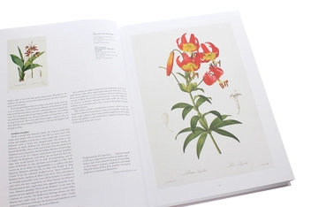 Бумажная книга «Redouté. The Book of Flowers», автор Х. Вальтер Лак - фото №6 - миниатюра