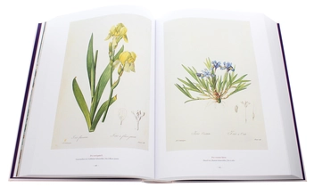 Бумажная книга «Redouté. The Book of Flowers», автор Х. Вальтер Лак - фото №9 - миниатюра