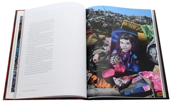 Паперова книга «C215 Christian Guemy Stencil Art», автор Алессандра Маттанца - фото №7 - мініатюра