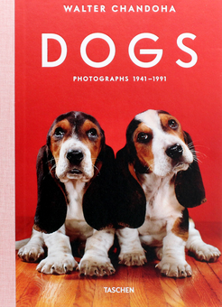 Бумажная книга «Walter Chandoha. Dogs. Photographs 1941–1991», авторов Реуэл Голден, Уолтер Чандоха - фото №1 - миниатюра