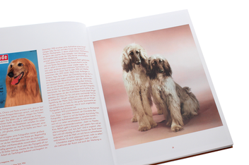 Бумажная книга «Walter Chandoha. Dogs. Photographs 1941–1991», авторов Реуэл Голден, Уолтер Чандоха - фото №5 - миниатюра