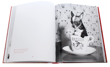 Бумажная книга «Walter Chandoha. Dogs. Photographs 1941–1991», авторов Реуэл Голден, Уолтер Чандоха - фото №7 - миниатюра