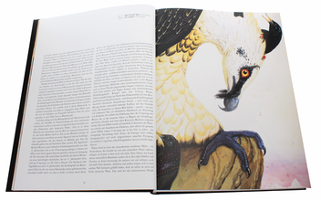Бумажная книга «Walton Ford. Pancha Tantra. Updated Edition», автор Билл Буфорд - фото №5 - миниатюра
