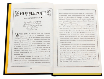 Паперова книга «Harry Potter and the Half-Blood Prince (Hufflepuff Edition)», автор Джоан Ролінґ - фото №5 - мініатюра