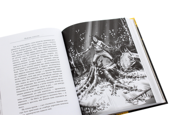 Бумажная книга «Світ Суперзаврів. Книга 1. Райські раптори», автор Джей Джей Барридж - фото №5 - миниатюра