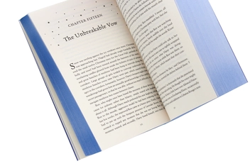 Бумажная книга «Harry Potter and the Half-Blood Prince (Ravenclaw Edition)», автор Джоан Роулинг - фото №6 - миниатюра