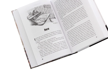 Паперова книга «Вурдило», автор Анатолій Шкарін - фото №5 - мініатюра