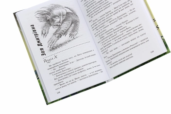 Бумажная книга «Злочинці з паралельного світу. Фантастичні повісті», автор Галина Малик - фото №5 - миниатюра